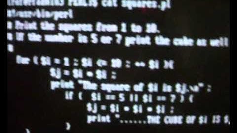 PERL Script with loop and if statement.