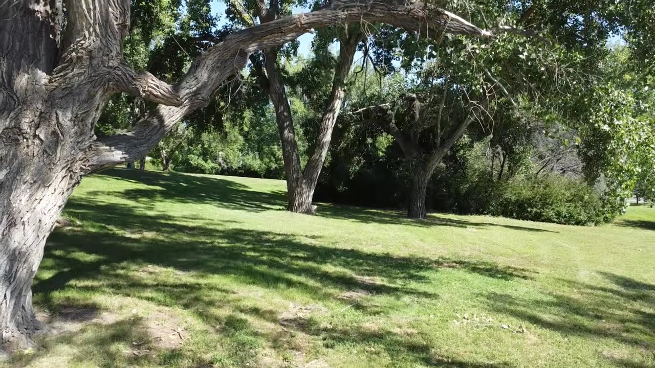Beautiful Park Area at Saskatchewan Landing | Stunning Nature Views in Canada 🇨🇦