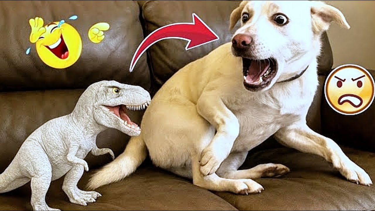 AI Cats and Dogs Collection, 2025