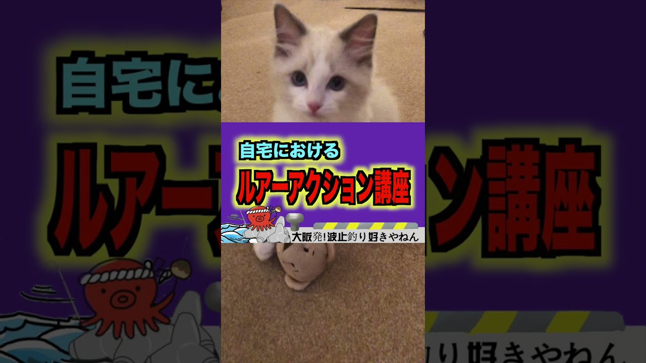 "波止好き"ルアーアクション講座 #Shorts