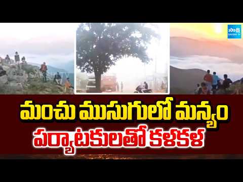 మంచు ముసుగులో మన్యం..పర్యాటకులతో కళకళ | Huge Mist In Alluri District | Sakshi TV