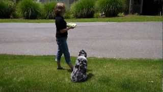 Panasonic GF5 720p (HD) / 30fps / MPEG-4 daytime sample video