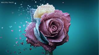 Flower Bloom || Soft Instrumental Music for Relaxation screenshot 2