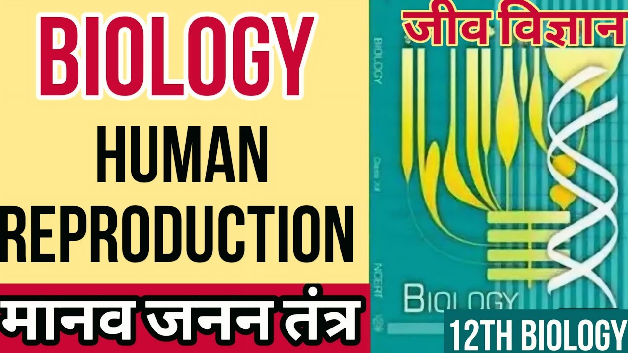 Human Reproduction in 1 Shot | Biology NCERT Line by Line explanation# ...