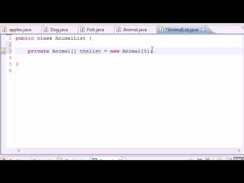Java Video Tutorial Part 60 |   Array Holding Many Objects