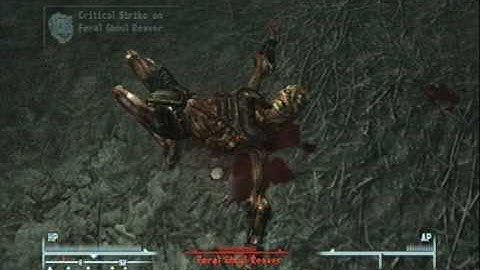 Fallout 3: Unarmed v. Feral Ghoul Reaver