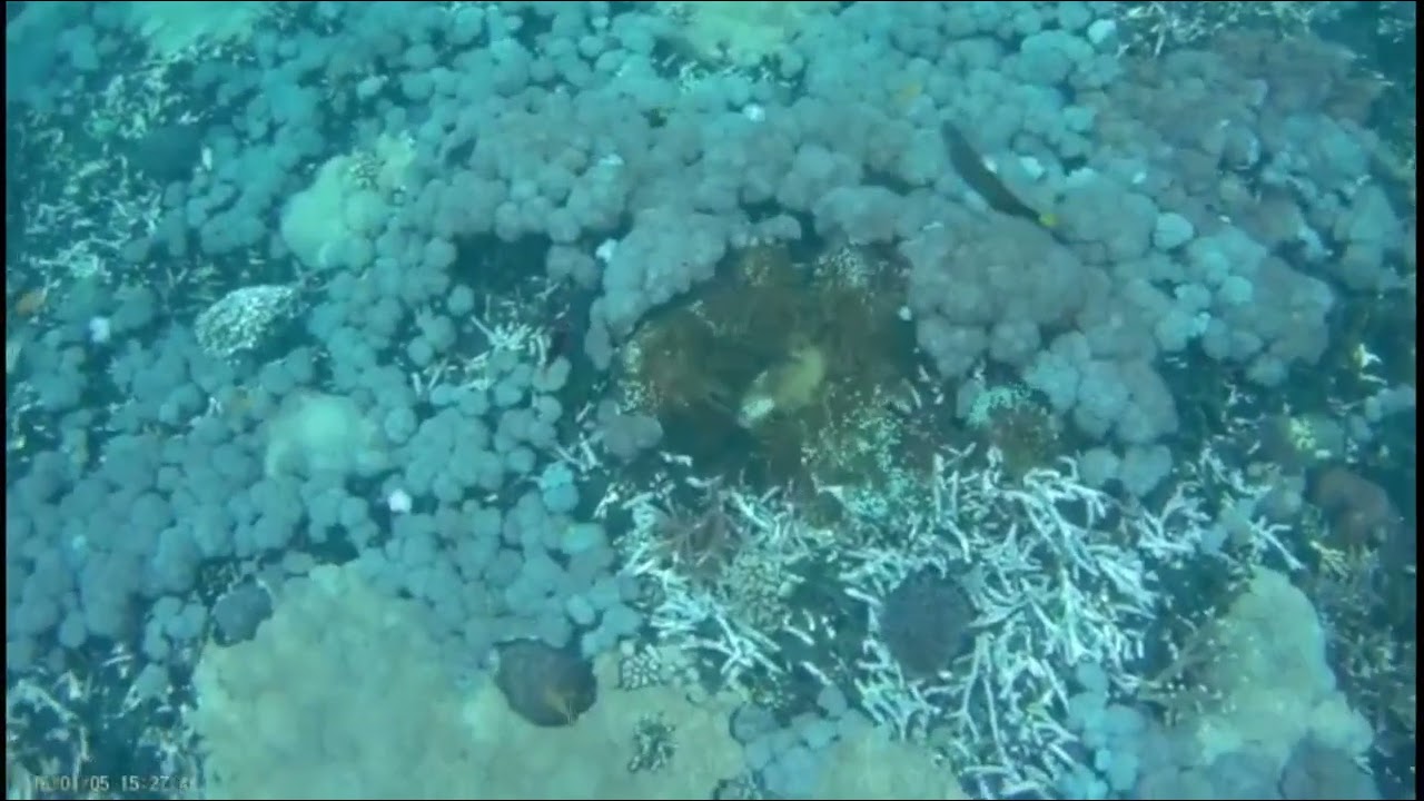 4K sports camera wireless wifi mini swimming underwater shooting camera outdoor waterproof camera