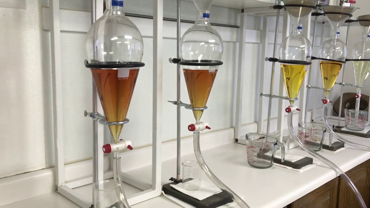 Bottling Juniper at the Young Living Farm Distillery in Mona Utah: Seed to Seal in Action!