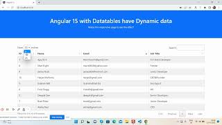 Angular 15 with Datatable having Dynamic data