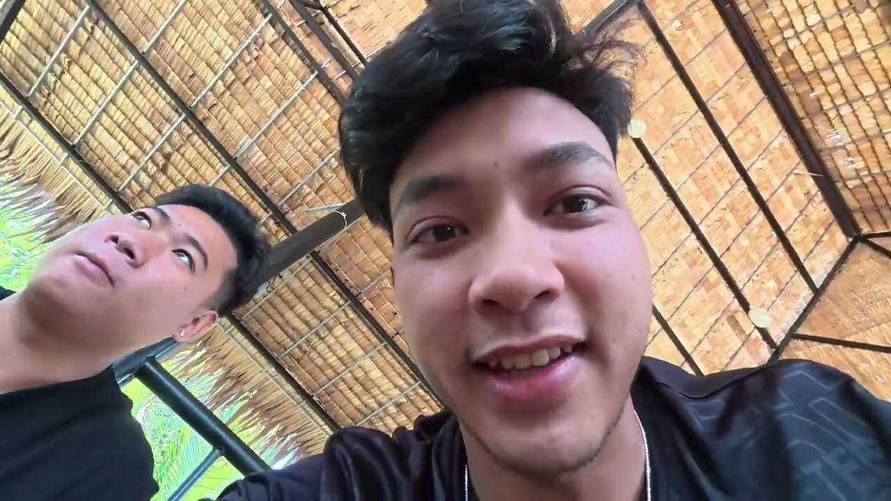 TNB - Họa Mi Từ Nay Đã Đóng Băng | Thanh Nhã Vlog