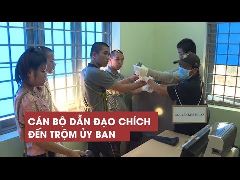Video Hy hữu: Cán bộ dẫn đạo chích đến UBND xã trộm gần 400... - youtube
