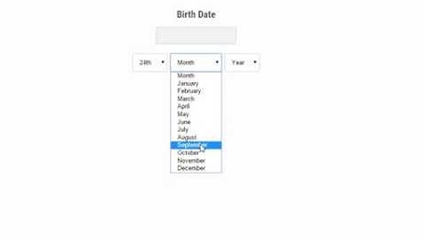Birth Date Picker