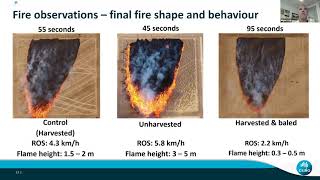 Fire Spread and its Prediction in Wheat Crops