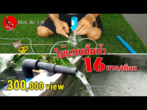 มินิแอร์ลิฟท์บ่อปลาทอง ใช้แทนปั๊มน้ำค่าไฟถูกเว่อ  Mini Air Lift DIY l คุณพ่อคราฟ EP.27