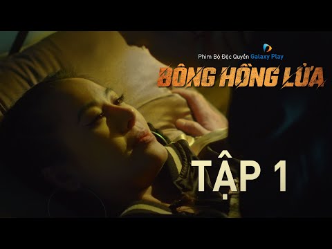 Video: Bông Hồng đỏ