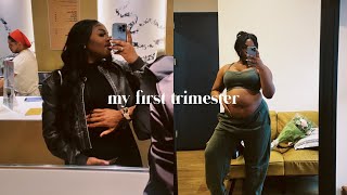 my first trimester