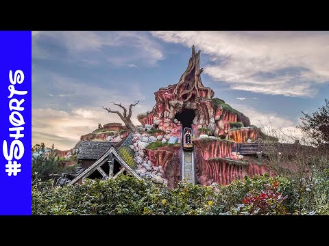 Splash Mountain Log
