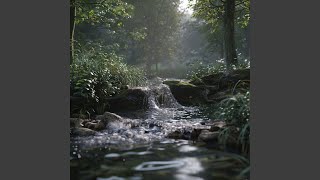 Soft Stream Dog Rhythms