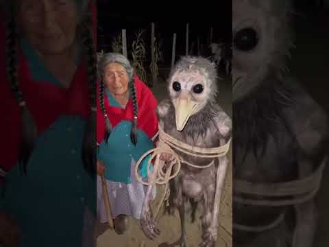 Atrapo a la Bruja #paranormal #demonios #miedo #terrorymisterio #fantasmas #aterrador #leyendas