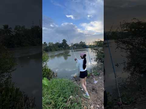Câu sông tự nhiênP2 #cauca #fishing #caucathiennhien #cá #mayfishing