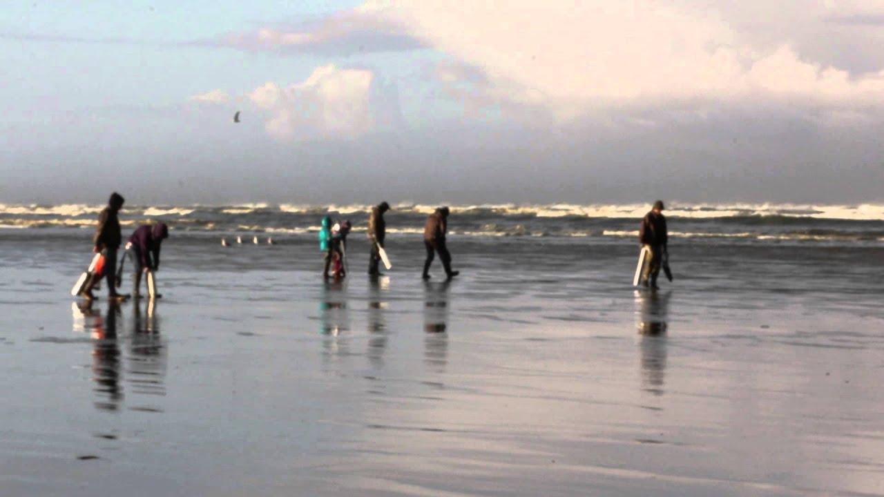 Razor Clamming at Pacific Beach State Park YouTube