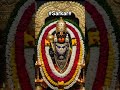 sarkar