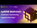 how to add opBNB Mainnet to your wallet