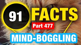 91 Weird Facts | Mind Blowing Weird Facts