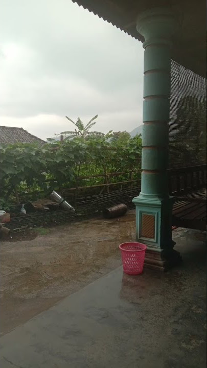 Download lagu diteras depan rumah menikmati rintik air hujan #shorts
