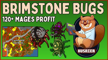 Brimstone Bugs | PROFIT | 120+ Mage (Druid/Sorcerer) | Tibia