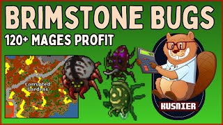 Brimstone Bugs | PROFIT | 120+ Mage (Druid/Sorcerer) | Tibia