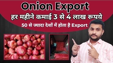 How much Profit in Onion Export || How to Export Onion From India to Dubai Full Process in Hindi