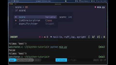 ลุยเขียนโปรแกรม Python ด่วน ๆ print, input, ตัวแปร, เงื่อนไข if-else