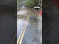 Rescues underway with historic flooding in western WA #atmosphericriver #flooding #pnw #news