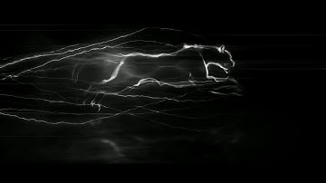 Run Panther Intro Template