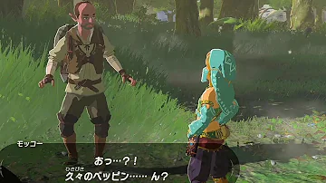 有能な馬ゼルダ 有能な馬ゼルダ