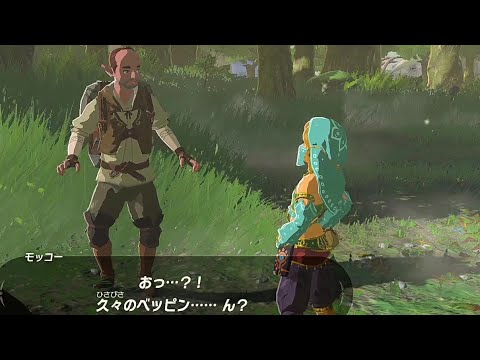 【ブレワイ】依頼を受けて、女装したりしつつ馬のお尻で川の宝箱を取ってみた【ドリカラ】【ゼルダの伝説ブレスオブザワイルド,BotW,ゼル伝,字幕実況】