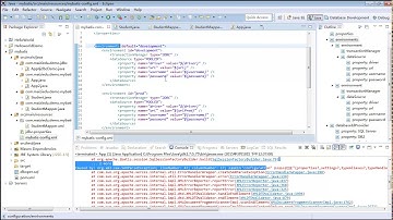 Java Web进阶-Mybatis-7.mybatismybatis 核心配置4-3