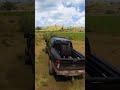 Office Road Forza Horizon 5
