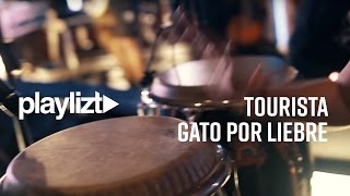 @playlizt.pe - Tourista - Gato Por Liebre chords