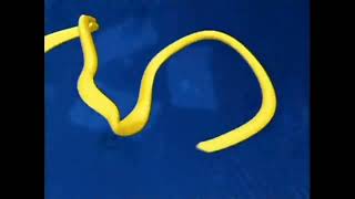 Disney Channel The Suite Life Of Zack U0026 Cody Wbrb Bumper original U0026 Low Quality Tslgh Ver 2007