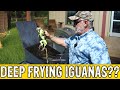 How to Cook Iguanas??