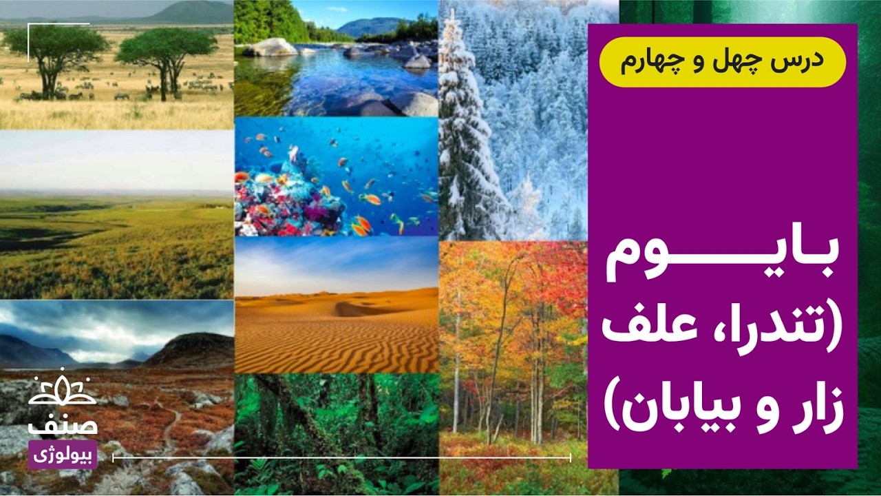 صنف - بیولوژی صنف یازدهم - درس 44: بایوم‌ها (تندرا، علف‌زار، بیابان)