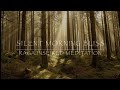 Silent Morning Bliss - Raga inspired Flute Meditation