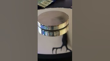 Euler’s disk slow-mo