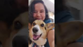 Some special moments at Southern Cross Vet 🧡 #petcare #furbaby #petlover #vetclinic Some special moments at Southern Cross Vet 🧡 #petcare #furbaby #petlover #vetclinic