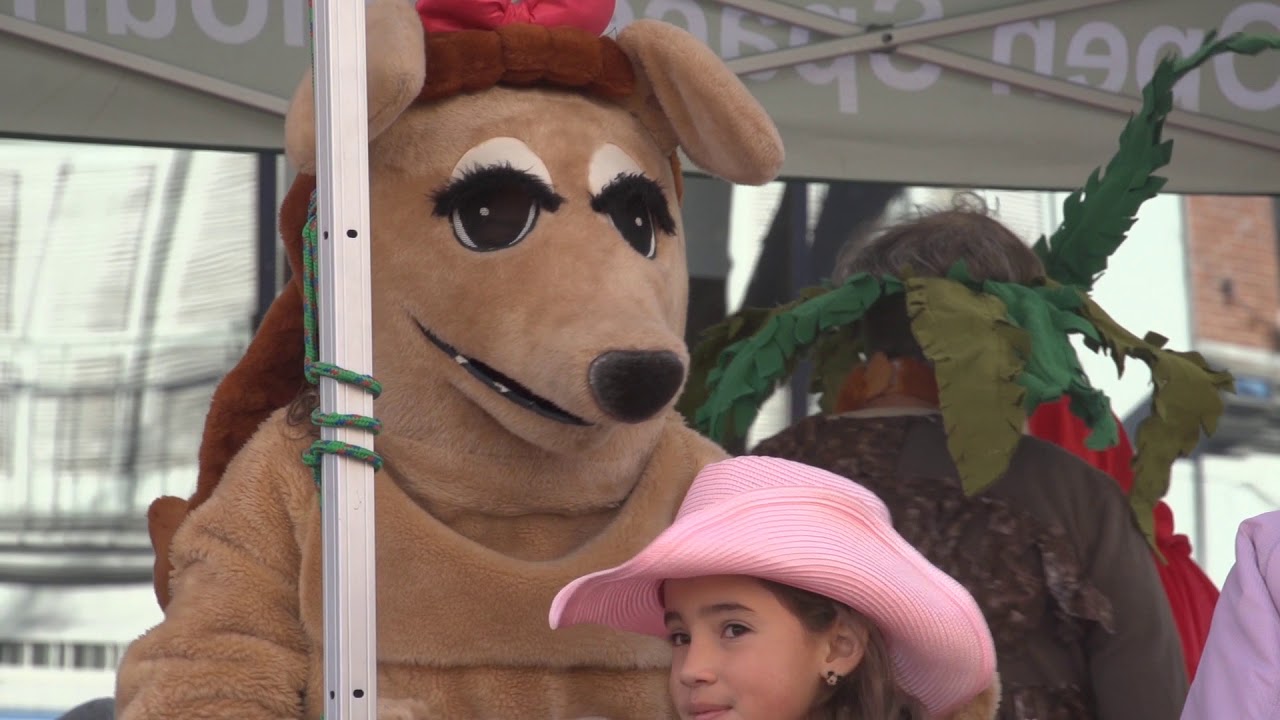 Inside Boulder News -Munchkin Masquerade