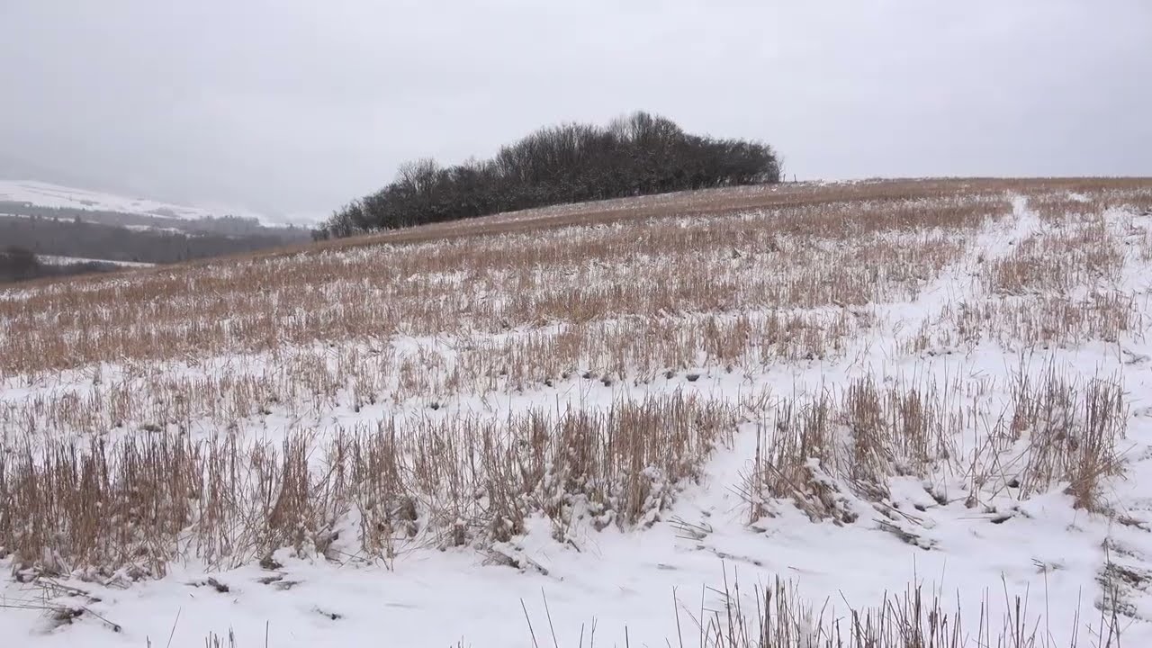 Závadka nad Hronom -  za dedinou