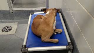 acs A685110