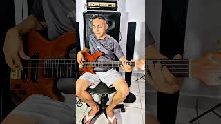 Hotel California - Bass Cover Eagles (1976). #music #groove #bass Paquinha Bass